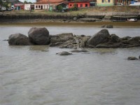 /album/fotos%20do%20litoral%20c%c3%a2ndido%20mendes/g-18-2010-02-06-jpg/